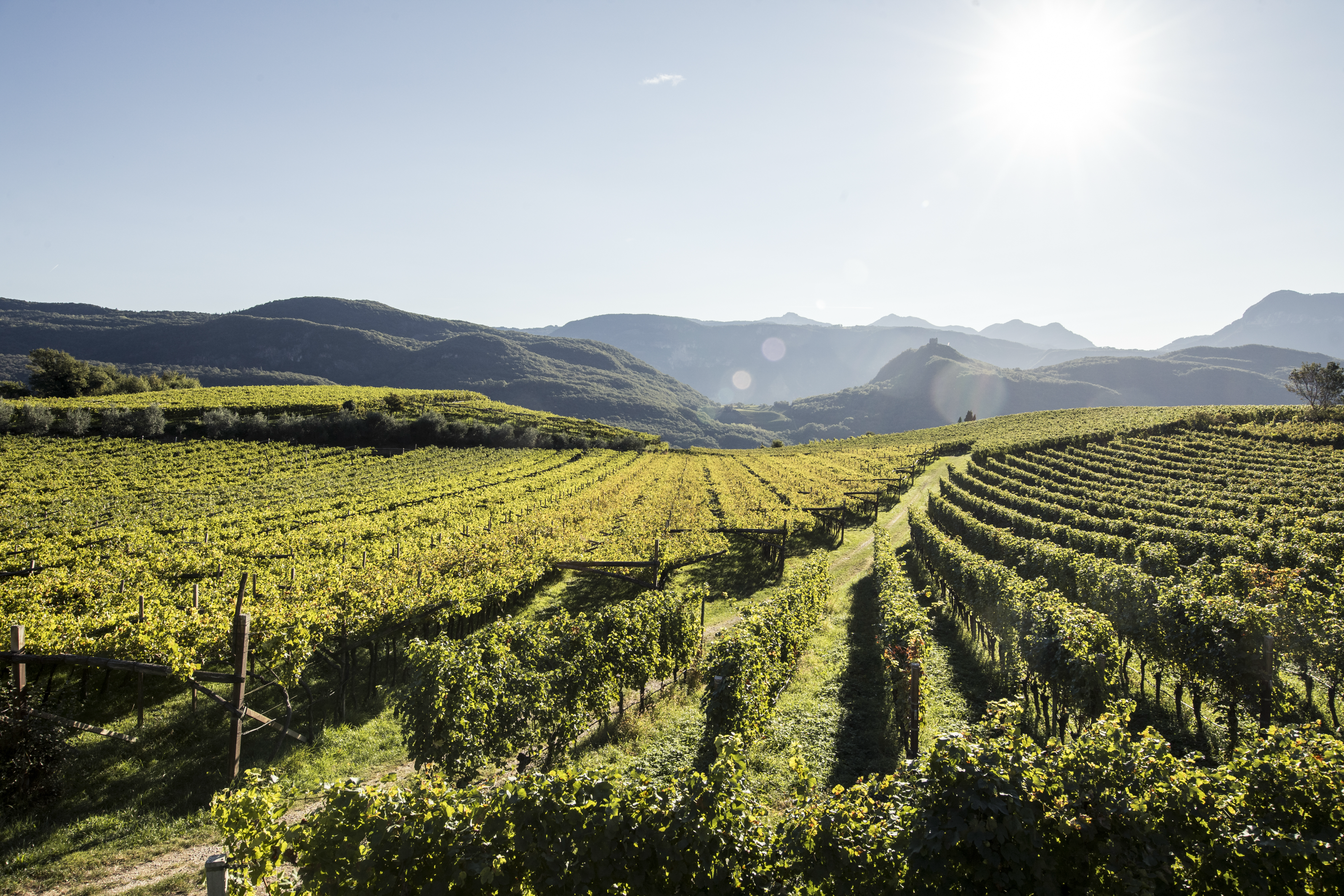 Article section 1 image