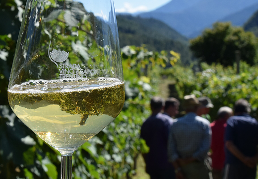 Article section 2 image