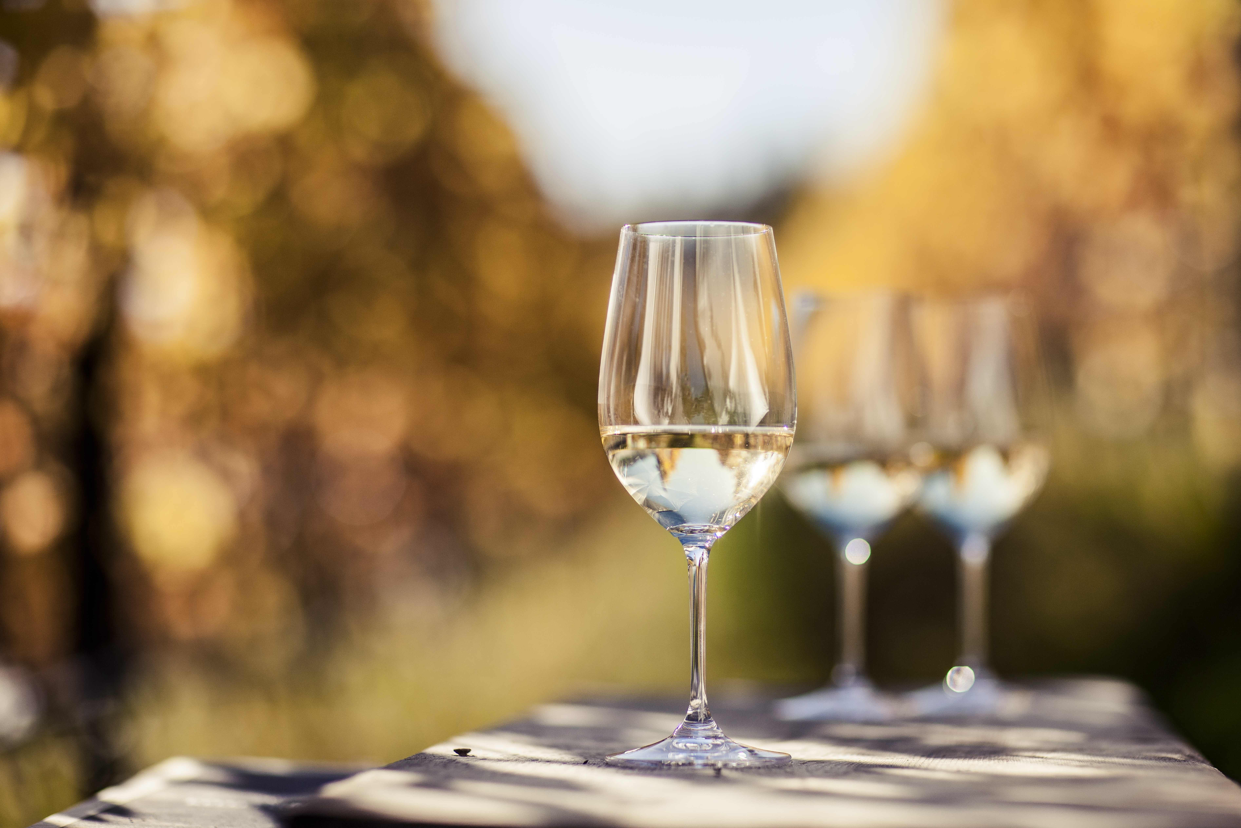 Winter Olympics 2025